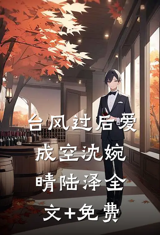 台风过后爱成空沈婉晴陆泽全文+免费