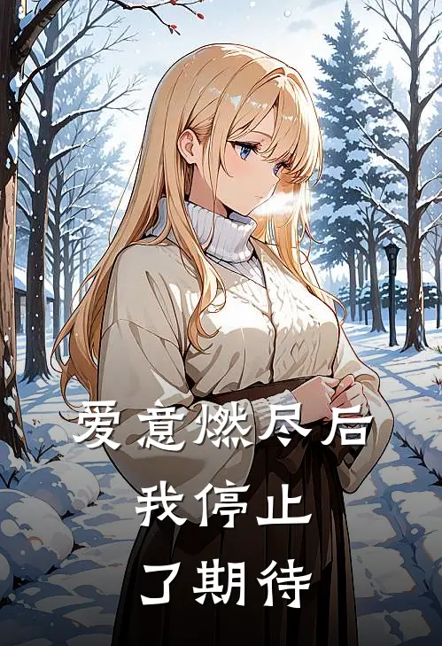 爱意燃尽后,我停止了期待是歌