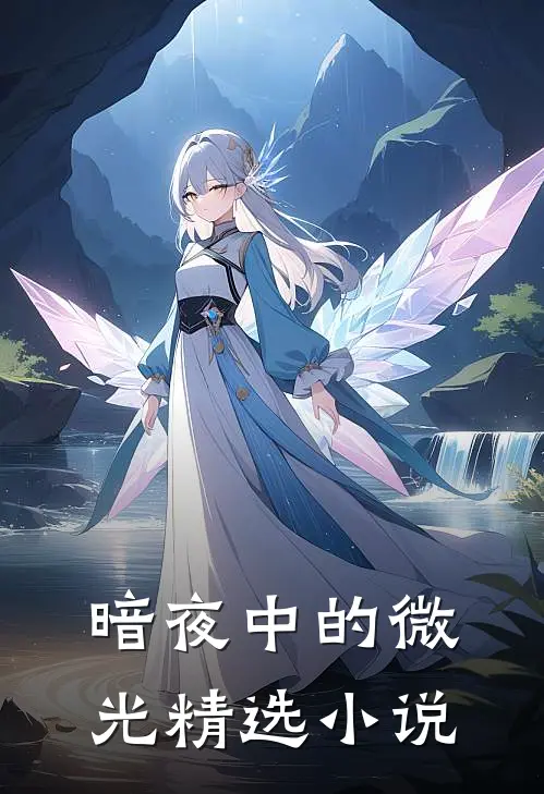 暗夜中的微光精选小说
