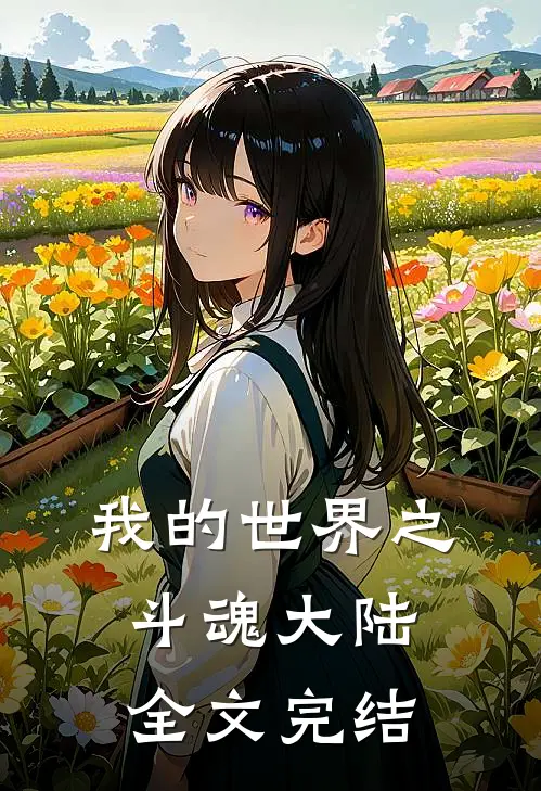 我的世界之斗魂大陆全文完结