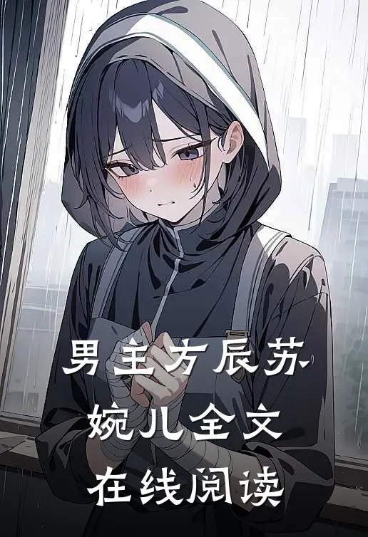 男主方辰苏婉儿全文在线阅读