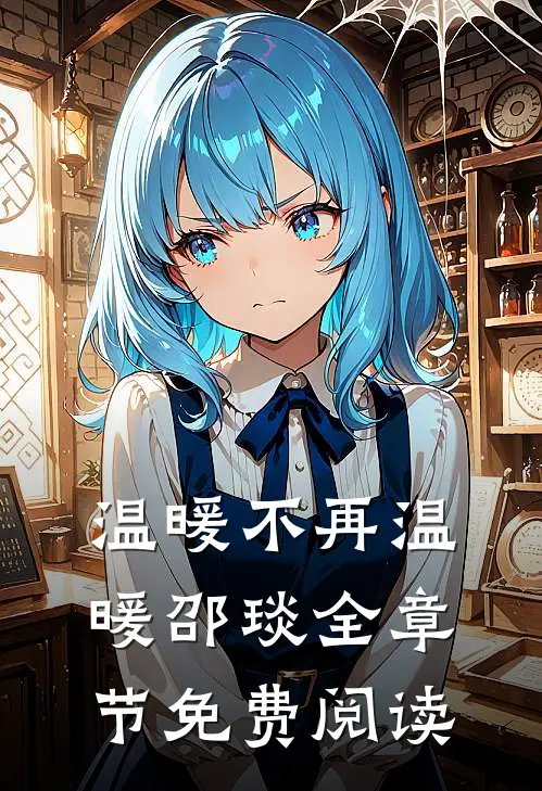温暖不再温暖邵琰全章节免费阅读