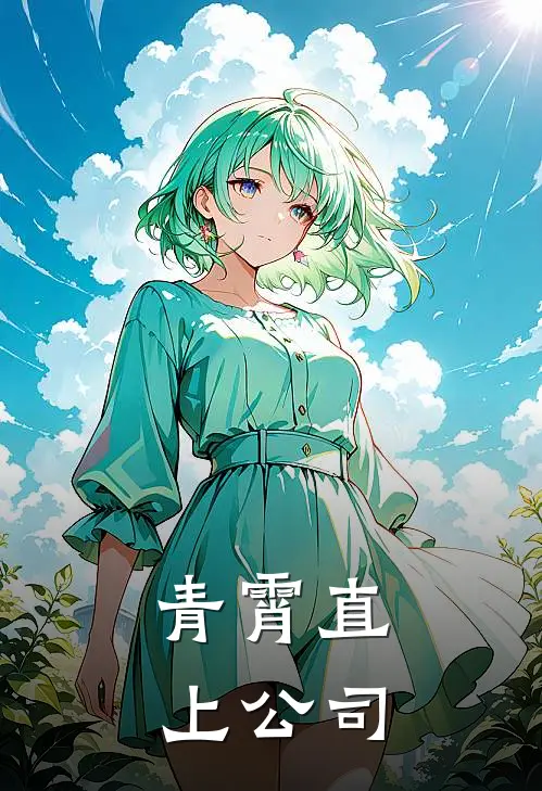 青霄直上公司