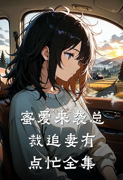 蜜爱来袭总裁追妻有点忙全集