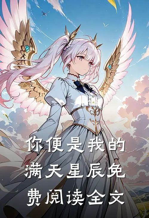 你便是我的满天星辰免费阅读全文
