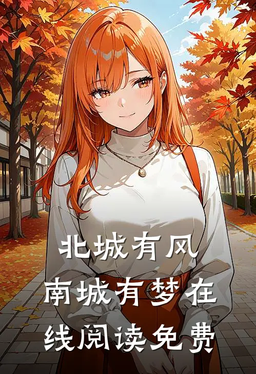 北城有风，南城有梦在线阅读免费