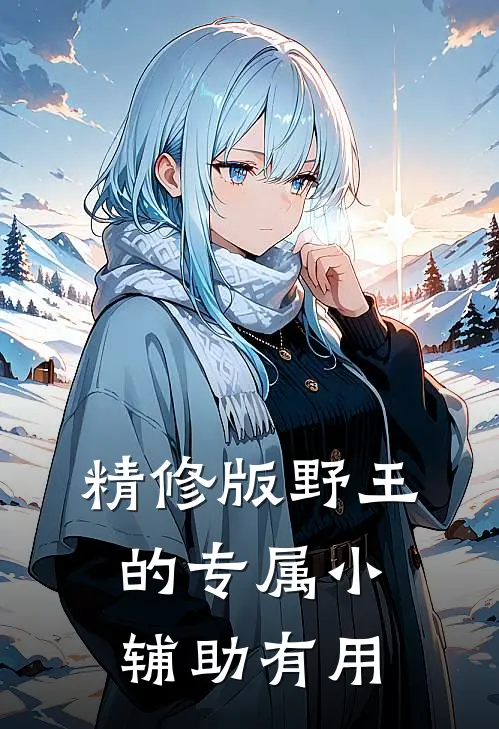 精修版野王的专属小辅助有用