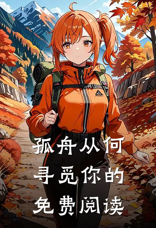 孤舟从何寻觅你的免费阅读