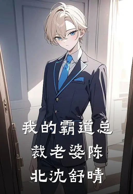 我的霸道总裁老婆陈北沈舒晴