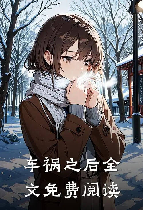 车祸之后全文免费阅读
