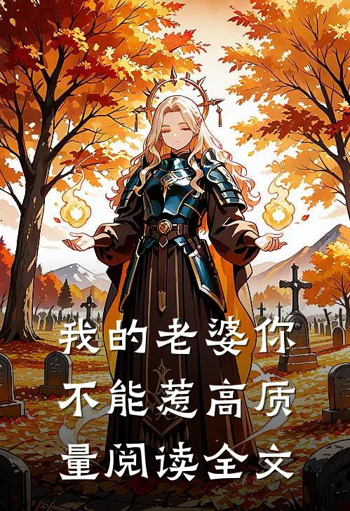 我的老婆你不能惹高质量阅读全文