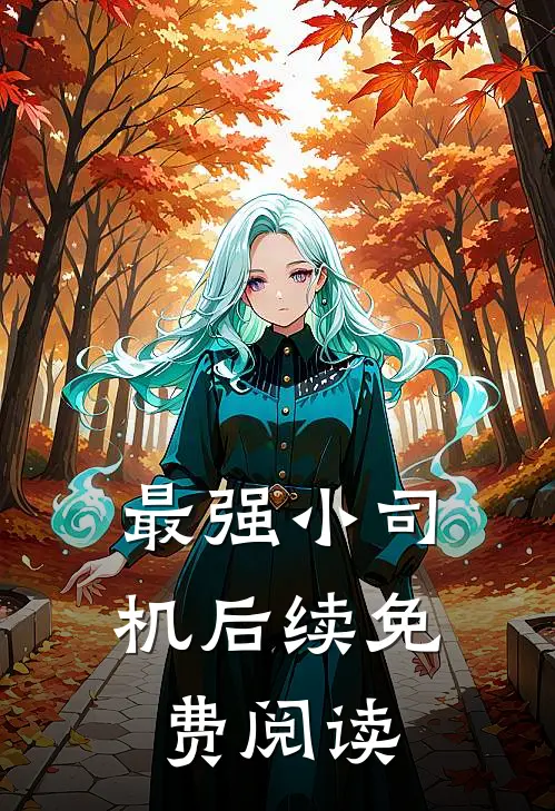 最强小司机后续免费阅读