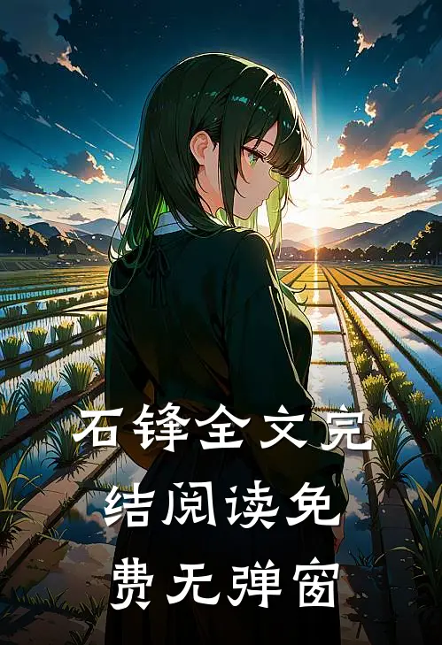 石锋全文完结阅读免费无弹窗