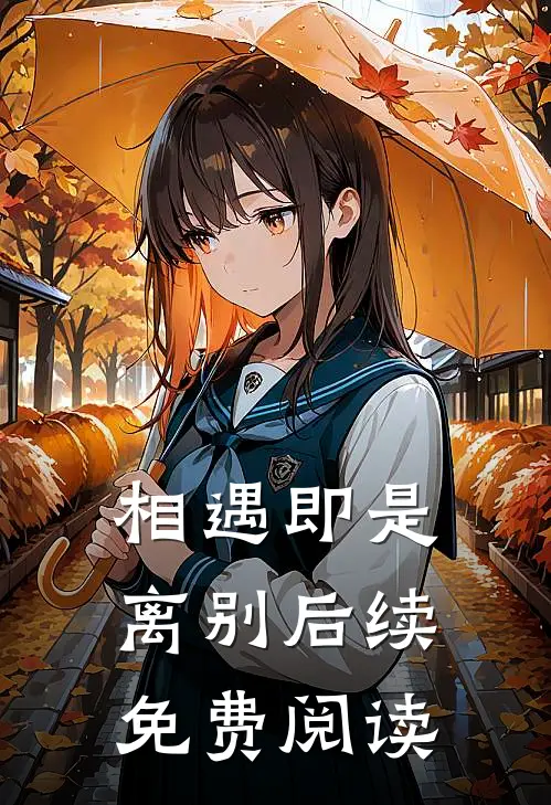 相遇即是离别后续免费阅读