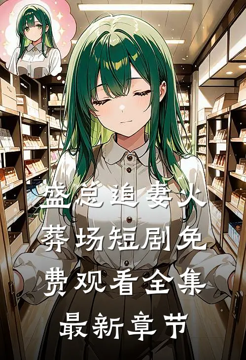 盛总追妻火葬场短剧免费观看全集最新章节