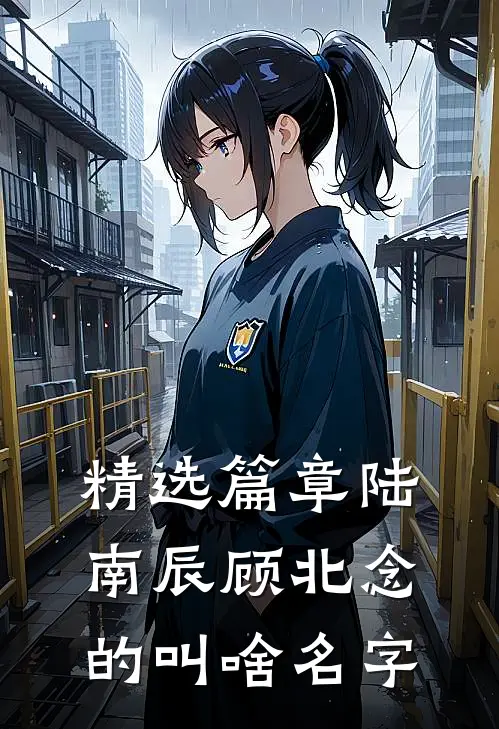 精选篇章陆南辰顾北念的叫啥名字