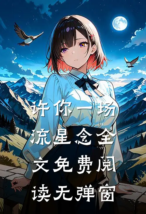 许你一场流星念全文免费阅读无弹窗