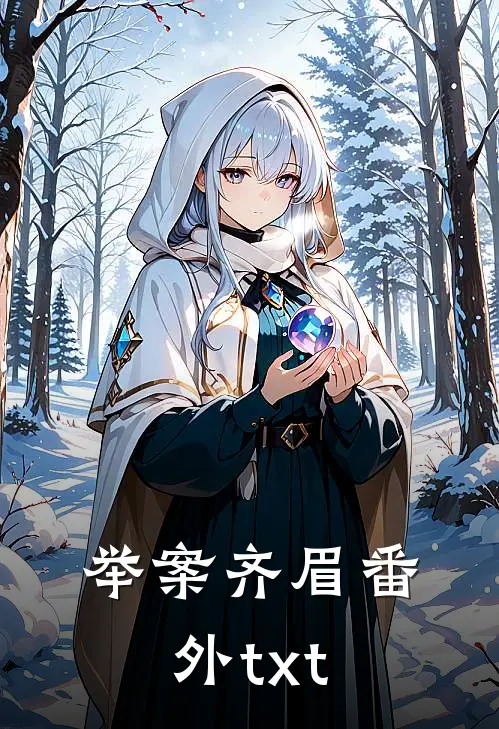 举案齐眉番外txt