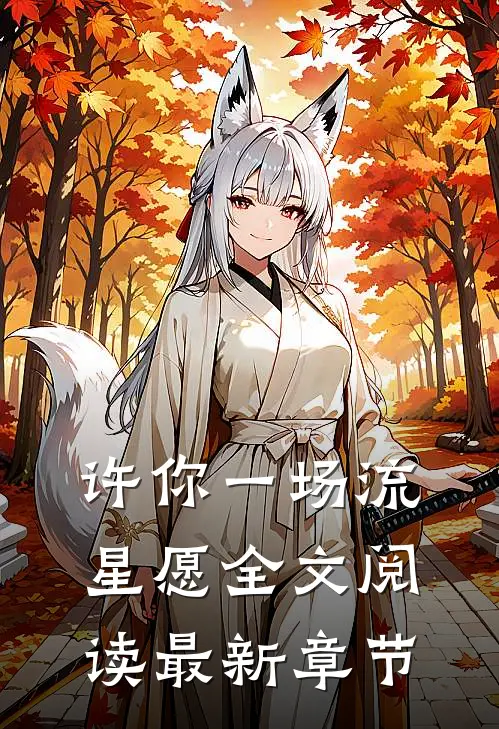 许你一场流星愿全文阅读最新章节
