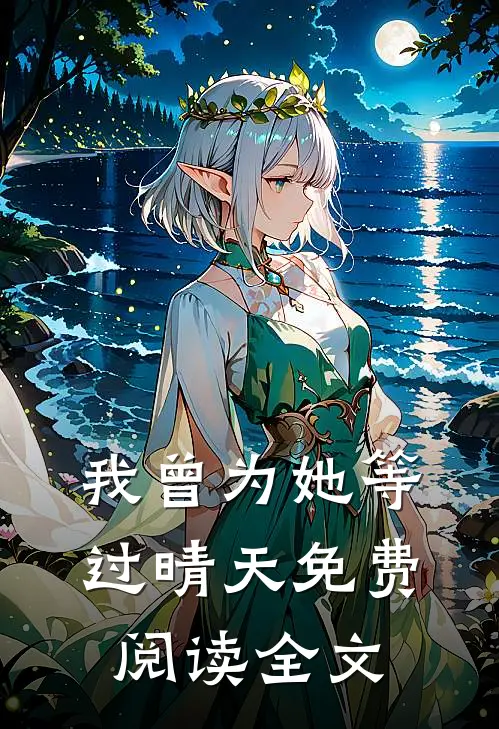 我曾为她等过晴天免费阅读全文