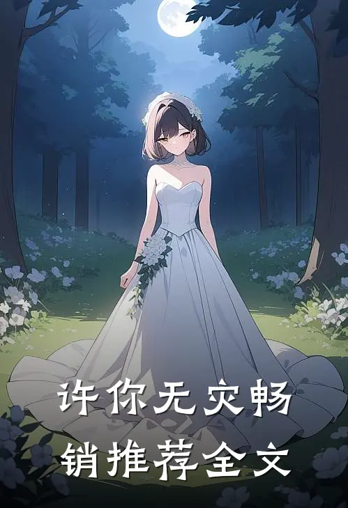 许你无灾畅销推荐全文