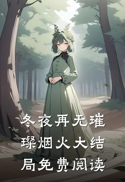 冬夜再无璀璨烟火大结局免费阅读