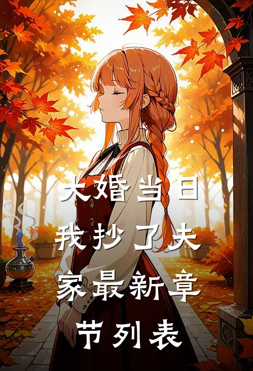 大婚当日，我抄了夫家最新章节列表