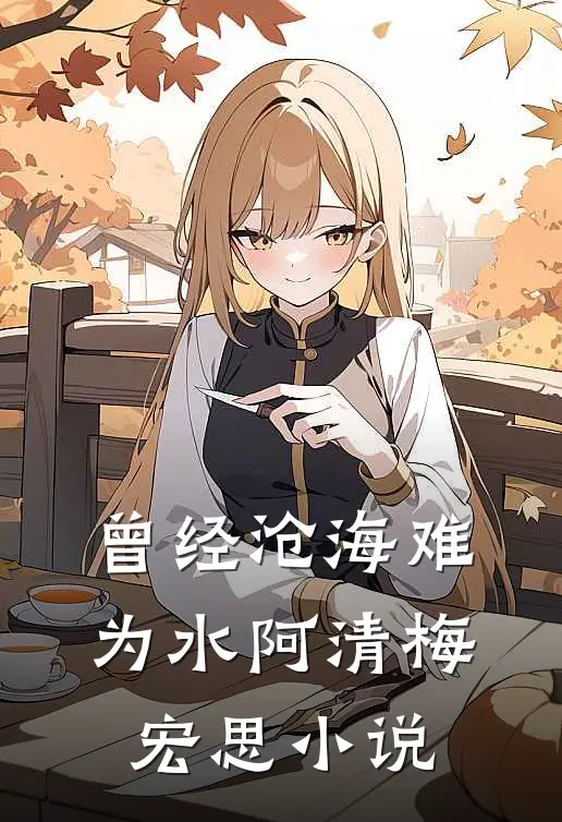 曾经沧海难为水阿清梅宏思小说