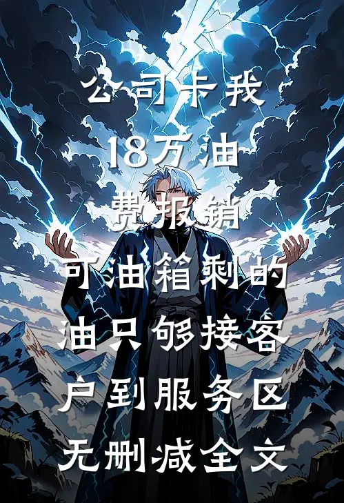 公司卡我18万油费报销，可油箱剩的油只够接客户到服务区无删减全文