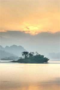 重生回首富夫人肚子里，妹妹被我卷哭了免费