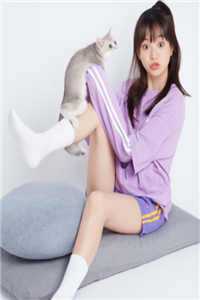 若随风入苍穹温鹭傅宴离小说