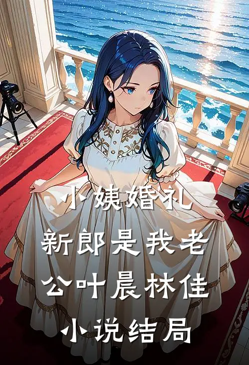 小姨婚礼，新郎是我老公叶晨林佳小说结局