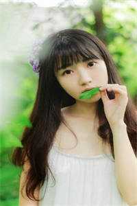 楠木霜尽旧恨消完整文集阅读