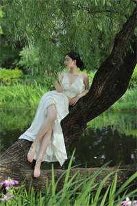 身无彩蝶系春朝必读文