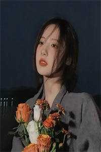 我摘星辰缀她衣全局