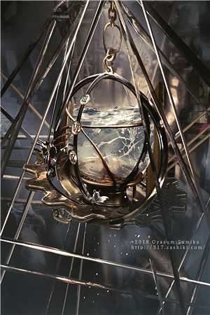 若随风入苍穹人气小说