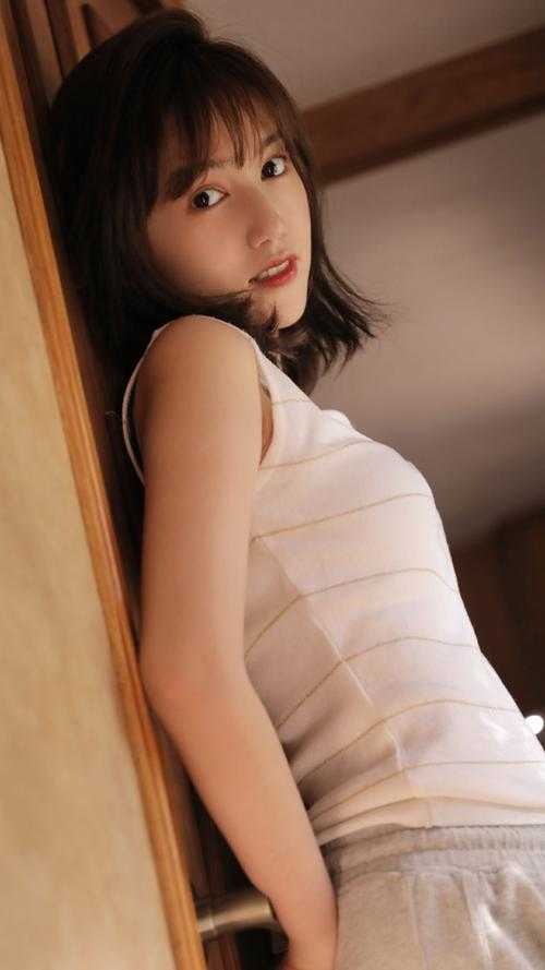 林深时见明月清阅读