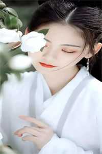 雨后千花并成雾完结