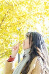 夕落鸿雁送云书精品推荐