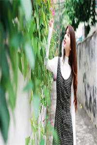 夏末才觉春已迟全本小说推荐