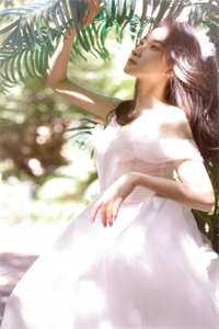飞雁渡春秋几重全文阅读最新