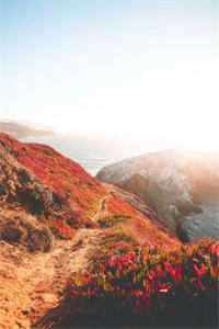 陆总，太太的暗恋对象就是你前文+番外