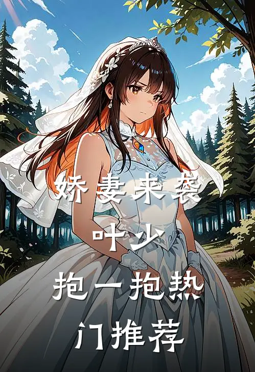 娇妻来袭叶少,抱一抱热门推荐