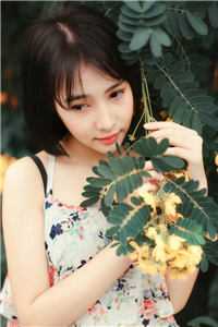 月色将尽，不偏旧人完整作品