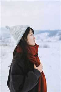 无言不忆流年后续+无弹窗