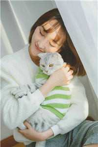 南枝向暖春意晚全文+后续