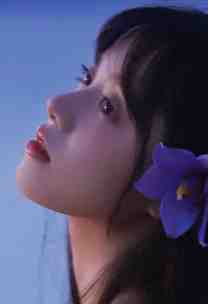 凤不栖桐人不语全文+后续