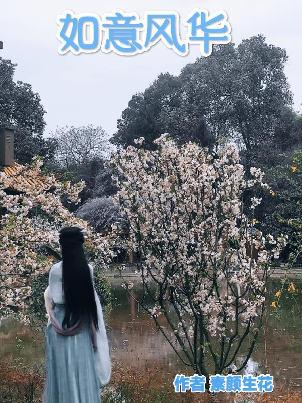 人间随处是南柯小说结局