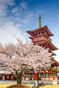 星光沉溺于昨夜雨全文+免费