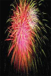 绝字入归鸟陆铮行萧雪归无删减+无广告